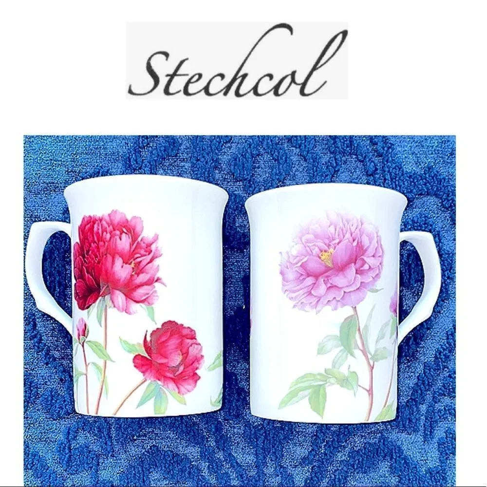 New Set of 2 Stechcol Floral mugs